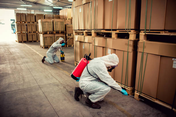 Best Bed Bug Extermination  in Peoria, IL