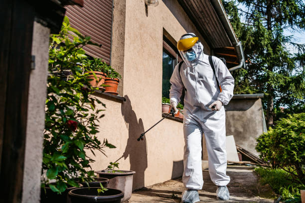 Flea Control Services in Peoria, IL