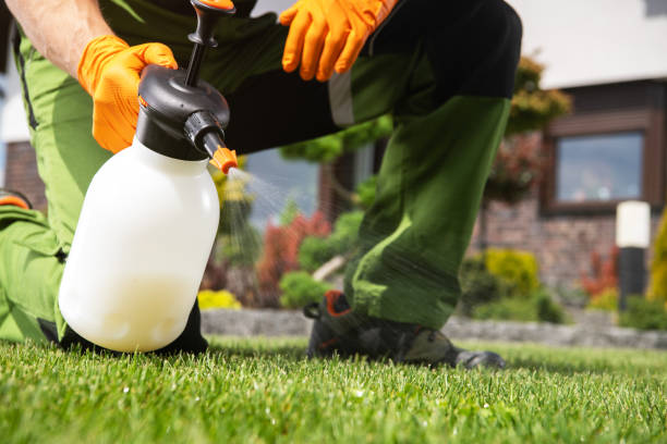 Best Emergency Pest Control  in Peoria, IL