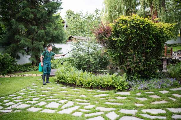Best Local Pest Control Services  in Peoria, IL