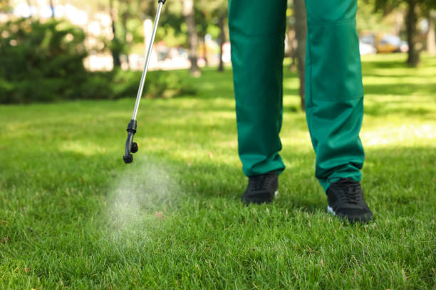 Best Commercial Pest Control Services  in Peoria, IL