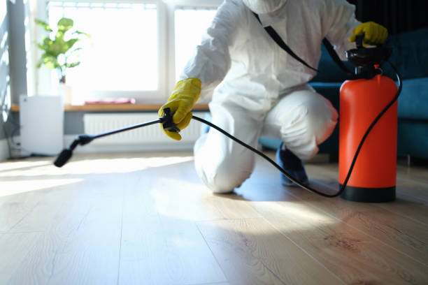 Best Flea Control Services  in Peoria, IL