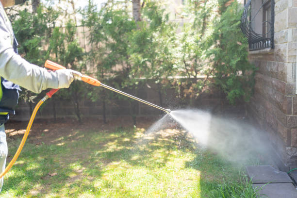 Best Pest Control Near Me  in Peoria, IL