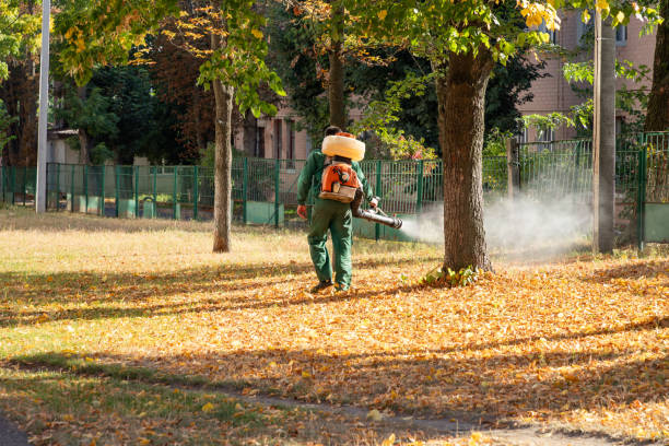 Best Wasp Removal Services  in Peoria, IL