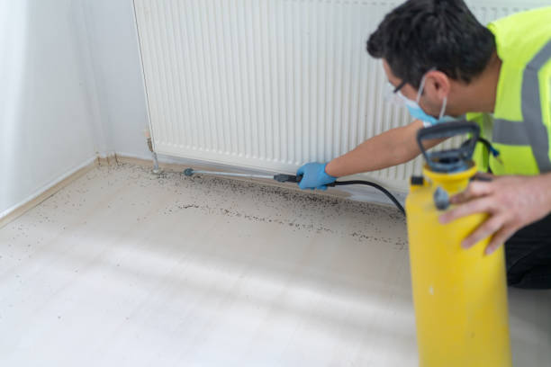  Peoria, IL Pest Control Pros